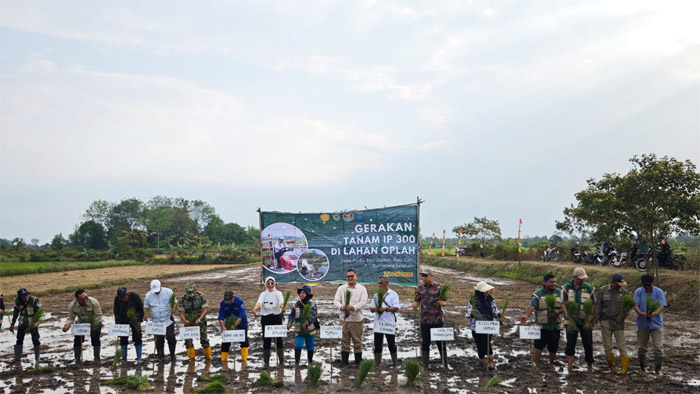 Millennial Farmers Development are the Target of Indonesia`s SMKPPN Sembawa