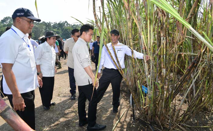 Wapres Gibran dan Mentan Amran Dorong Akselerasi Swasembada Gula dari Yogyakarta