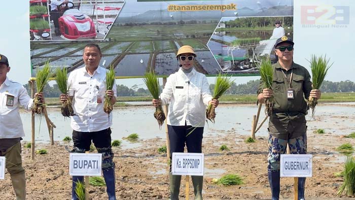 Ketahanan Pangan, SMKPPN Banjarbaru Dukung Kementan Tanam Oplah & CSR<br><i>Millennial Farmers Development are the Target of Indonesia`s SMKPPN Banjarbaru</i> Millennial Farmers Development are the Target of Indonesia`s SMKPPN Banjarbaru