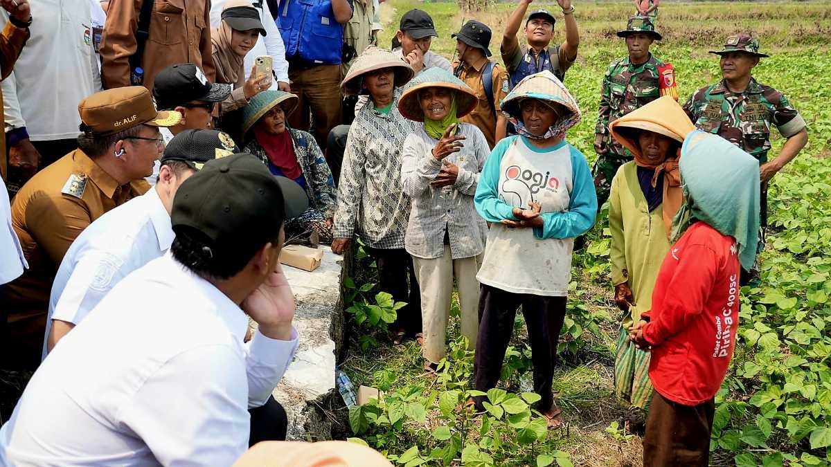 Mentan Amran Siapkan Aturan Baru agar Buruh Tani Bisa Dapat Alsintan<br><i>Indonesia Increases Rice Production across the Country</i> Indonesia Increases Rice Production across the Country