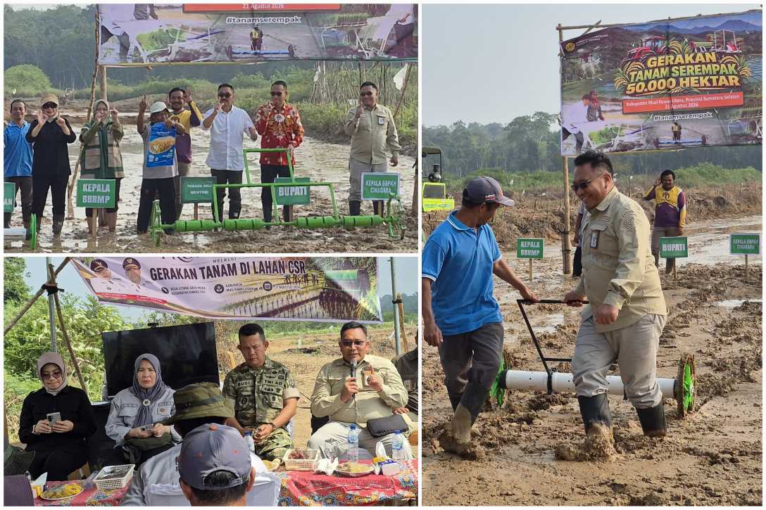 Ketahanan Pangan, SMKPPN Kementan Kawal Gertam Serentak Muratara Sumsel<br><i>Millennial Farmers Development are the Target of Indonesia`s SMKPPN Sembawa</i> Millennial Farmers Development are the Target of Indonesia`s SMKPPN Sembawa