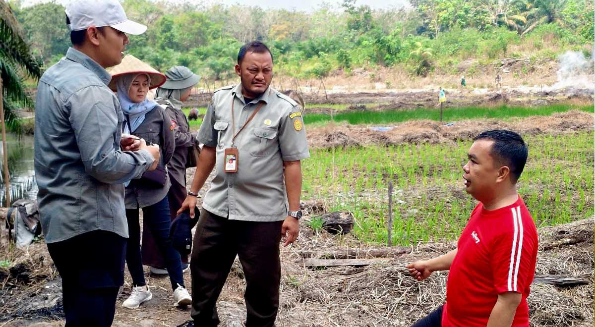 Polbangtan Kementan Pastikan Kesiapan Lahan Gertam IP 200 di Batanghari<br><i>Millennial Farmers Development are the Target of Indonesia`s Polbangtan Bogor</i> Millennial Farmers Development are the Target of Indonesia`s Polbangtan Bogor