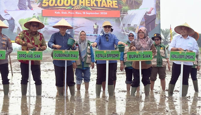 Kementan Percepat Tanam 50.000 Hektare, Dorong Peningkatan IP & Antisipasi El Nino