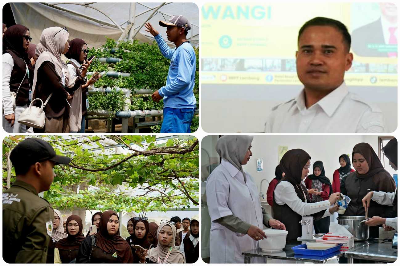 Inspirasi Gen Z, Siswa MA Bismillah Serang Kenali Pertanian Modern di BBPP Lembang<br><i>West Java`s Lembang Agricultural Training Center Support Indonesian Farmers</i> West Java`s Lembang Agricultural Training Center Support Indonesian Farmers