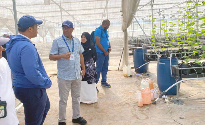 IFAD Kunjungi Polbangtan, Tinjau Keberhasilan YESS dan Penjajakan Program YESSI<br><i>Millennial Farmers Development are the Target of Indonesia`s Polbangtan Bogor</i> Millennial Farmers Development are the Target of Indonesia`s Polbangtan Bogor