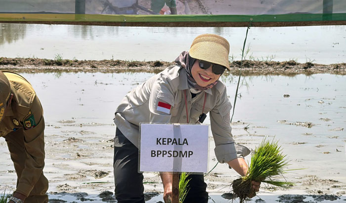 Perkuat Produksi Nasional, Kementan Dorong Peningkatan IP Lahan Oplah CSR<br><i>Indonesian Govt Support the Farmers to Increase National Food Production</i> Indonesian Govt Support the Farmers to Increase National Food Production