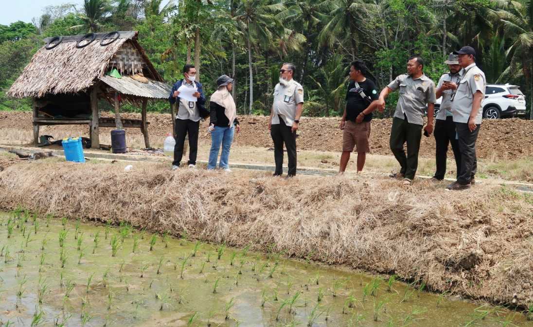 The Agricultural Library Support Indonesian Farmers in Achieving Food Self-sufficiency