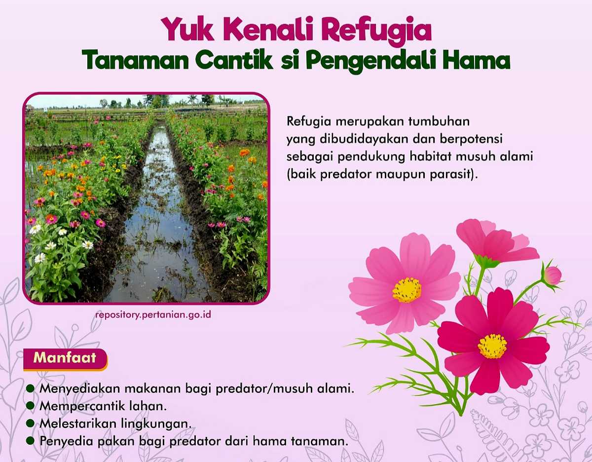 Sekutu Petani Lawan Hama