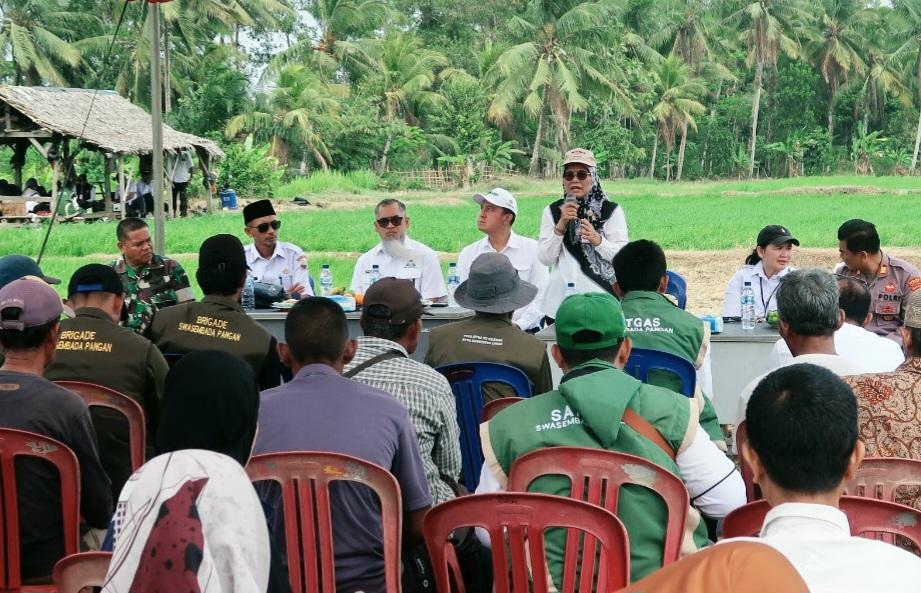 The Agricultural Library Support Indonesian Farmers in Achieving Food Self-sufficiency